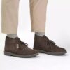 Desert Boot Evo voor heren, donkerbruin suède chukka